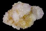 Cactus Quartz (Amethyst) Crystal Cluster - South Africa #137764-1